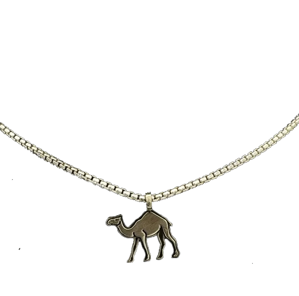 Camel Walk